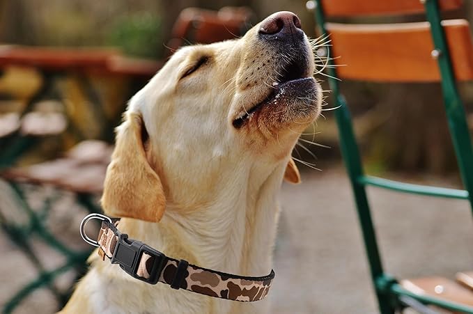 Dog Collar, Cute Camouflage Pattern, Soft and Adjustable Collar with Quick Release Buckle (L (Neck 16-28", Width 1"), Camouflage Brown)
