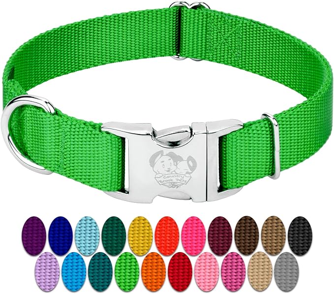 Country Brook Petz - Premium Nylon Dog Collar with Metal Buckle for Small Medium Large Breeds - 10+ Cool Colors (Medium, 3/4 Inch Wide, Hot Lime Green)