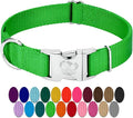 Country Brook Petz - Premium Nylon Dog Collar with Metal Buckle for Small Medium Large Breeds - 10+ Cool Colors (Medium, 3/4 Inch Wide, Hot Lime Green)