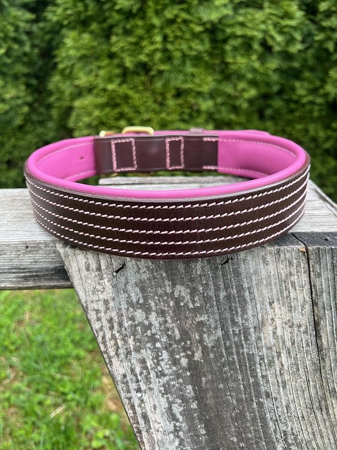 Leaders Leather Dog Collar with Customized Name Plate (Pink/Brown Extra Large (21"-26"))