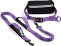Hands Free Dog Leash with Waist Belt – No-Pull Bungee, Dual Padded Handles & Zipper Pouch for Running, Walking & Training – Adjustable Waist Leash for Large & Medium Dogs