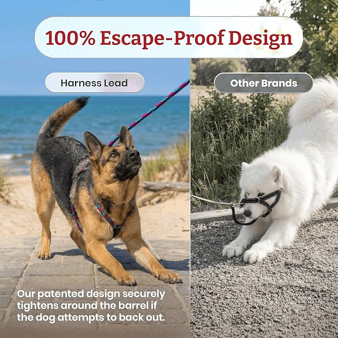 Harness Lead No Pull Dog Harness and Leash Set, Anti Pull Dog Harness for All Breeds and Sizes, One-Piece Cushioned Rope Design Safely Prevents Escaping and Pulling (Small/Medium, Black/Reflective)