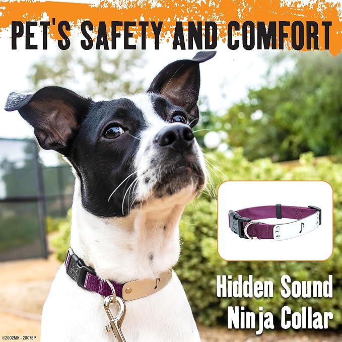 Naruto Dog Collar for Large Dogs, Medium, Small, XS Puppy Collars: Officially Licensed Naruto Shippuden Anime Dog Collar Pet Accessories, Naruto Gifts for Boy or Girl Dog (Burgundy, Hidden Sound, Med)