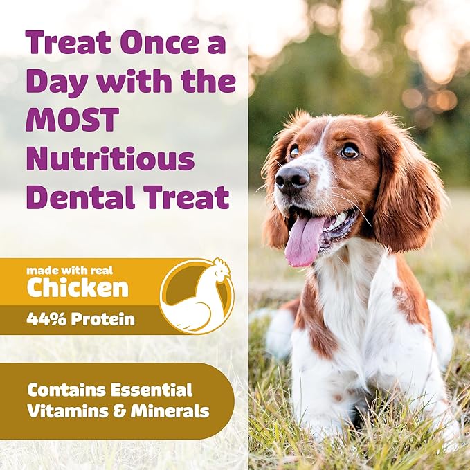 Yummy Combs Dog Dental Treats – Vet VOHC Approved, Removes Tartar & Cleans Teeth – Yummy High Protein Chicken Treat for Extra Large Dogs (Mini Pack, 4 Count)