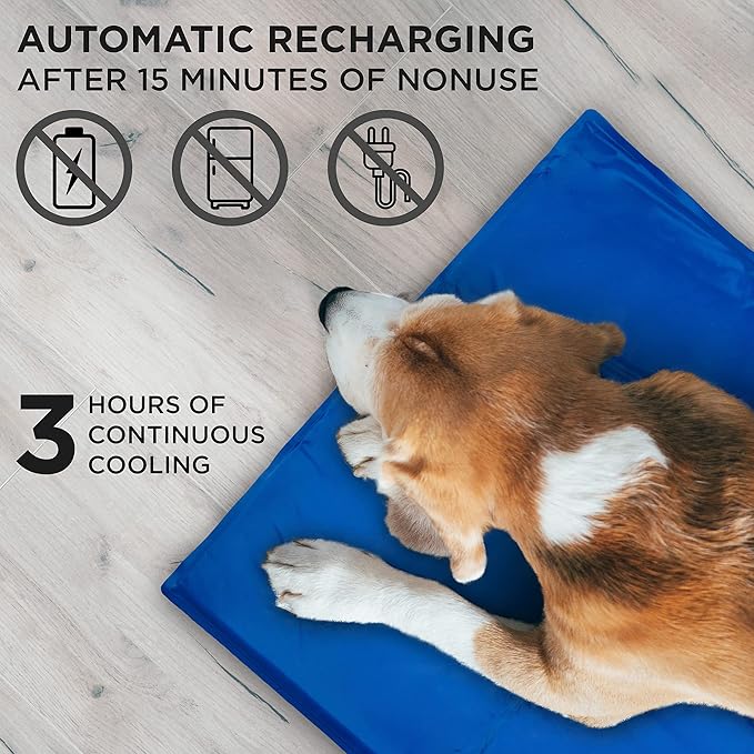 Arf Pets Dog Self Cooling Mat 11.5 x 15.5, Pad for Kennels, Crates and Beds, Non-Toxic, Durable Solid Cooling Gel Material. No Refrigeration or Electricity Needed, Ex-Small