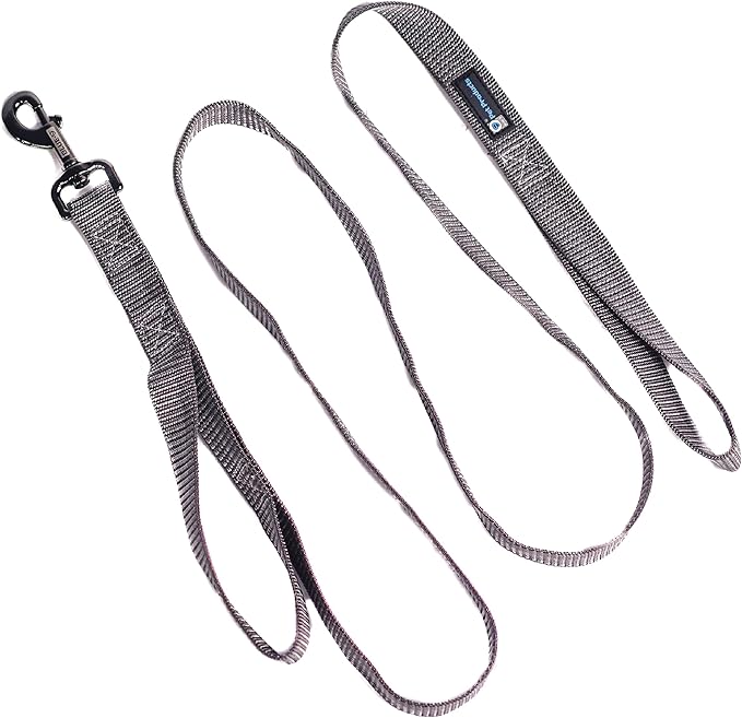 Blue-9 Reflective Dog Leash, Multi-Function 6 Foot Adjustable Lead with Traffic Loop and 3M Reflective Stitching for Obedience, Running, and Agility Training, Made in The USA, Small/Medium, Grey