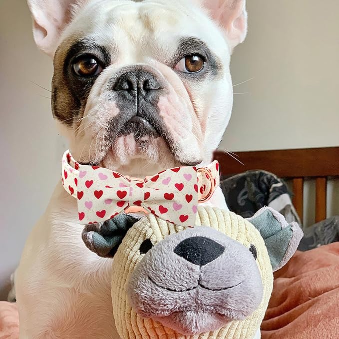 Elegant little tail Valentine's Dog Collar, Heart Dog Collar Cute Girl or Boy Puppy Collars Bowtie Pet Gift Adjustable Pet Collars for Small Dogs