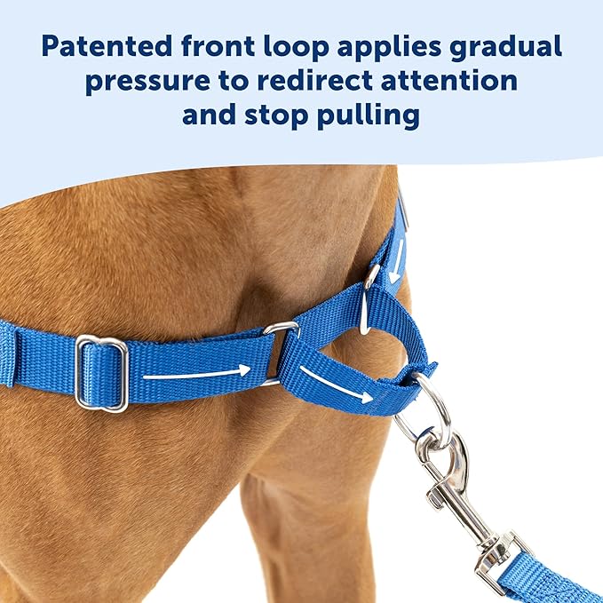 PetSafe Easy Walk Harness for Dogs - Pull-Free Walks - Patented Martingale Loop Design - Front Chest Leash Attachment - Comfort Straps - Breathable Harness Design - Medium, Teal/Gray