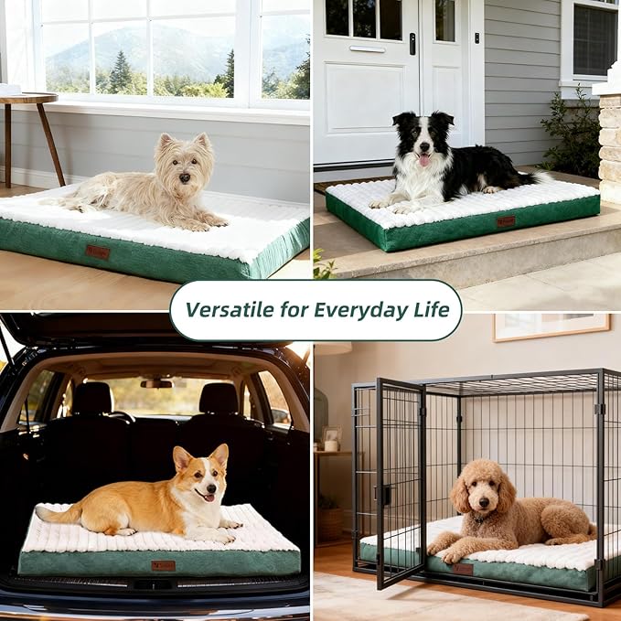 Orthopedic Dog Bed with Firm High-Density Egg Crate Foam, Machine Washable Cover & Non-Slip Bottom for Medium & Large Breeds (Green, 35" L x 22" W x 3" H)