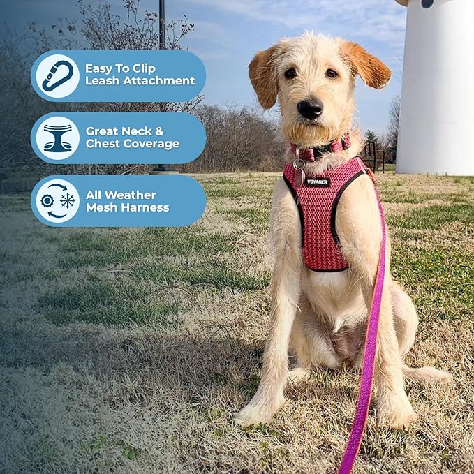 Voyager Step-in Air Dog Harness - All Weather Mesh Step in Vest Harness for Small and Medium Dogs by Best Pet Supplies - Harness (Fuchsia 2-Tone), X-Large