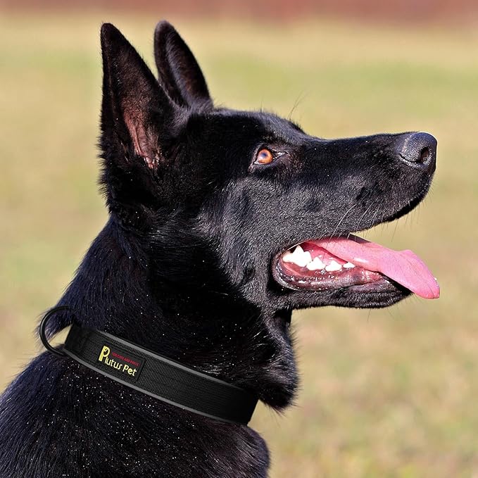 Plutus Pet Tactical Dog Collar, Reflective, Adjustable Heavy Duty Dog Collar, Soft Padded and Comfortable, for Small Medium and Large Dogs (Black, XL)