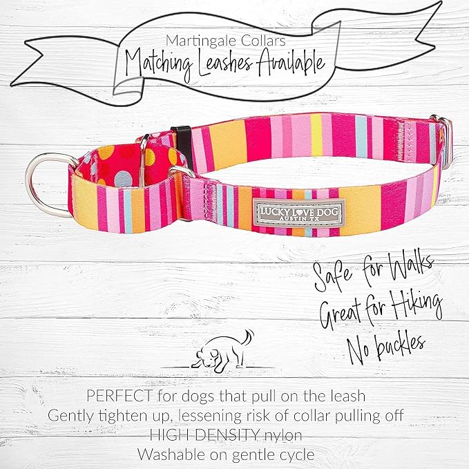 Lucky Love Dog Martingale Dog Collar & Leash - Adjustable, No-Slip, Durable, Comfortable, Soft Webbing, & Stylish Patterned Collar & Leash Set for Male and Female Dogs - Molly Combo, Medium