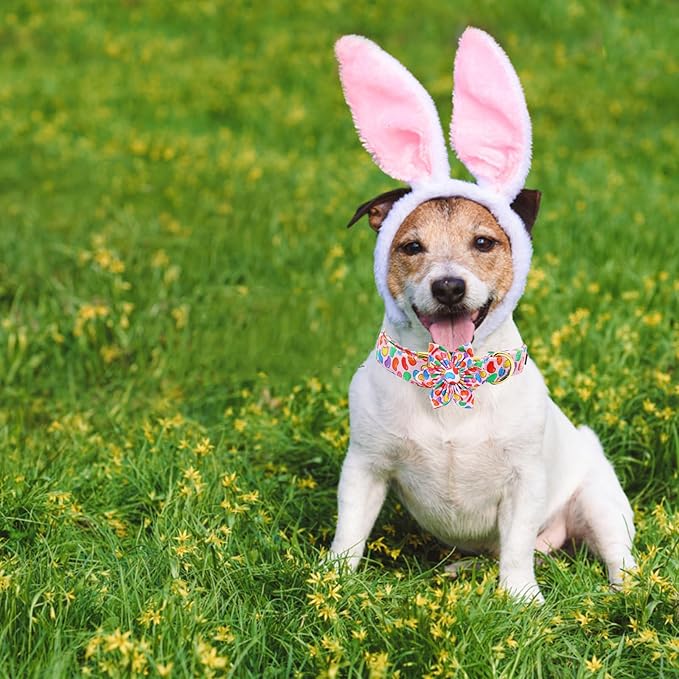 Elegant little tail Easter Dog Collar, Colorful Candy Print Dog Collar with Flower Blue Boy Girl Pet Gift Puppy Flowers Adjustable Pet Collars for X-Small Dogs