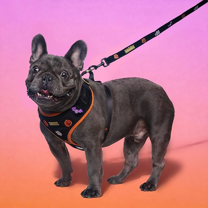 5 FT Stylish Dog Leash, Soft Dog Leashes with Comfortable Padded Handle, Metal Carabiner Clip, Strong No Pull Pet Leash for Small Medium Dogs for Walking, Shopping and Running
