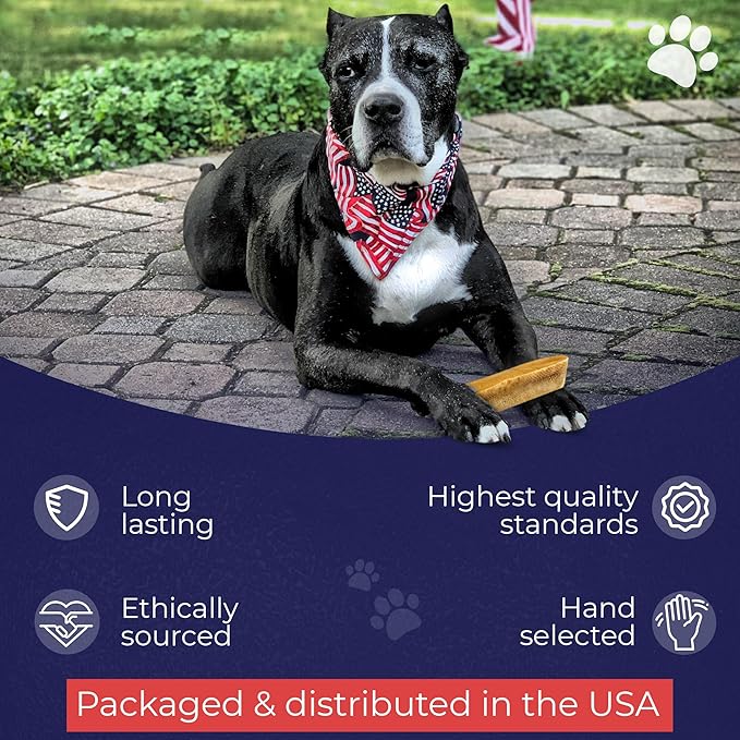 Devil Dog Pet Co. Himalayan Yak Cheese Dog Chews, Small - 8 Pack, 100% Natural & Healthy, Lactose-Free, Long-Lasting Dog Treats, Premium Yak Milk Chew Bones for Dogs