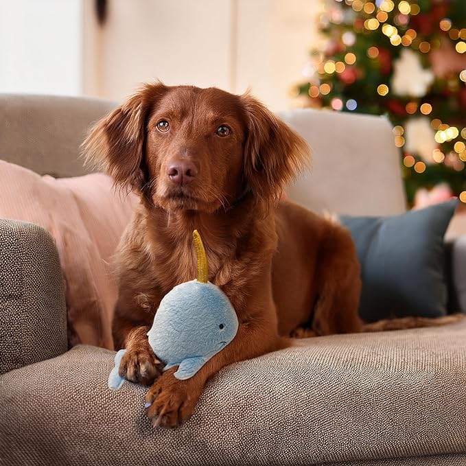 Narwhal Dog Toy | Whale Dog Toy | Squeaky Plush Narwhal | Whale Stuffed Squeaky Chew Dogs Toys | Realistic Animal Dogs Toys | Interactive Squeaky Whales | Small/Medium Breed | Blue | 8"