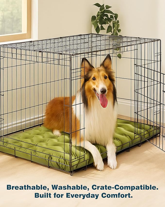 Orthopedic Dog Bed Outdoor Waterproof Dogs Crate Bed for Large Medium Small Dogs, Washable Cooling Dog Bed Mat with Removeable Cover & Memory Foam（30" x 20", Green
