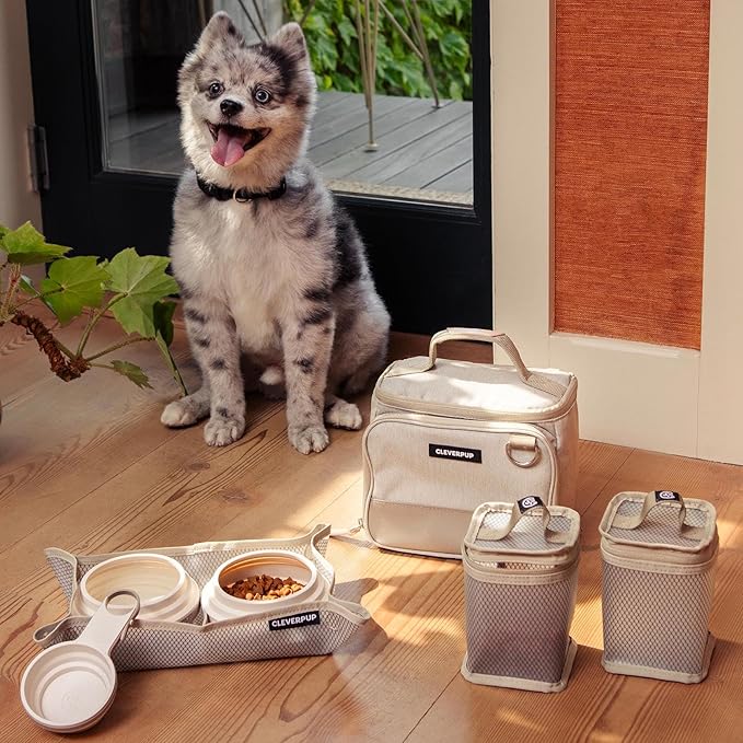 Cleverpup Small 7-Piece Bistro Box Dog Food Travel Kit, 6-Cup BPA-Free Kibble Storage, 2 Silicone Bowls, Mat & Scoop - Portable Pet Food Kit for Weekends, Overnights, Daycare & Camping, Sand