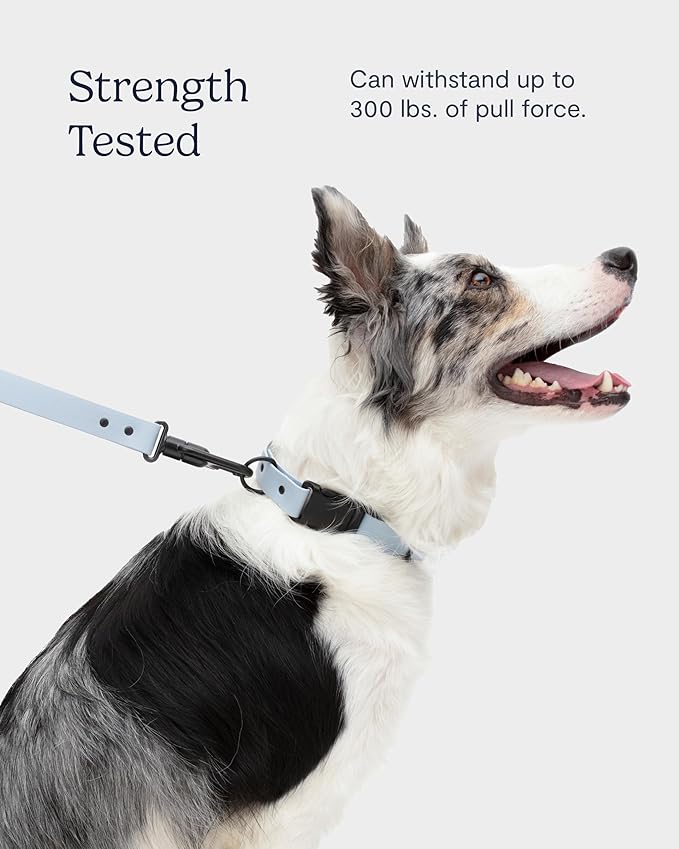 Fable Signature Dog Leash - Waterproof, Durable, Lightweight Leash - Wrist Strap Adjuster Allows for Hands Free Dog Walking - Large to Small Dogs - Security Clip - Made in USA - Blush M