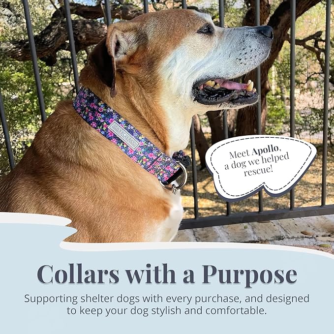 Lucky Love Dog Wide Dog Collar - Adjustable, Durable, Soft Webbing, & Comfortable 1.5 inch Wide Collar for Dogs Male and Female with Strong Buckle - Primrose, X-Large
