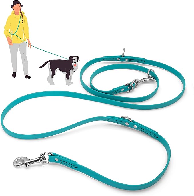 Jelly Pet Multi-Purpose European Style Leash l Made in America l Stronger Than Leather l Waterproof and Easy to Clean (3/8", Teal)
