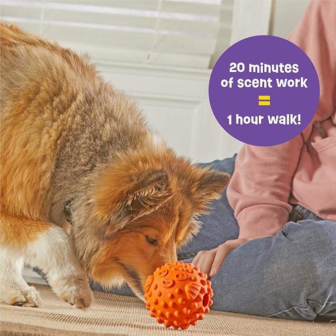 Brightkins Tough & Tumble Treat Dispenser Small Pufferfish - BPA Free Enrichment Dog Toys for Aggressive Play, Gift for Puppies