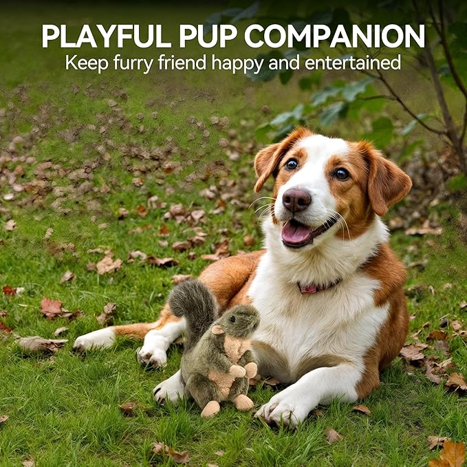 ALL FOR PAWS Squeaky Dog Toys, Plush Squirrel Dog Toy, Stuffed Animal Dog Toys for Small Medium Large Dogs, Soft Puppy Chew Toy with Squeaker