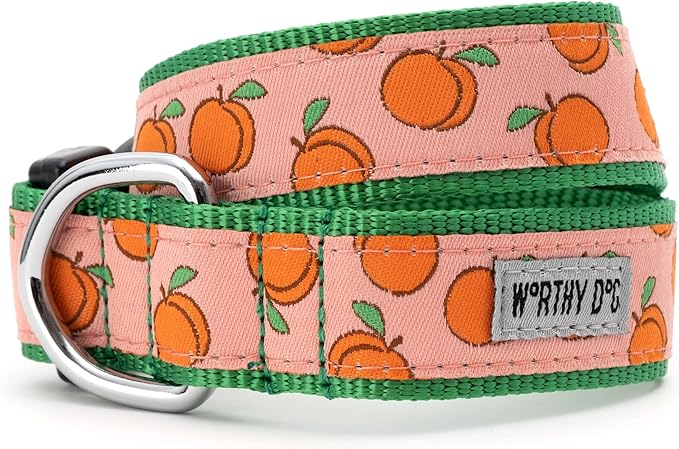 THE WORTHY DOG 5 FT Nylon Dog Leash for Small to Medium Dogs, Metal Quick Clip, Peachy Keen Pattern, Peach, Small