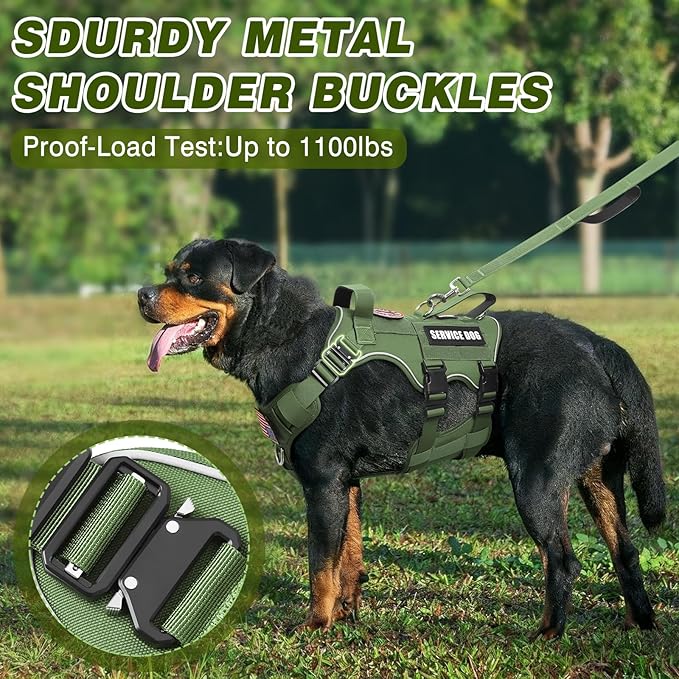 Service Dog in Training Vest and Leash Set with 10 Patches,Heavy Duty Tactical Dog Harness with Metal Buckles for Medium Sized Dogs,No Pull Easy Walking for Training Working Hiking,Green M