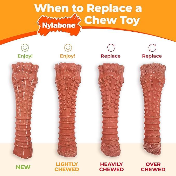 Nylabone Rib Bone Alternative Power Chew Toy for Dogs, Dog Toys for Aggressive Chewers, Beef Flavor, Large - Up to 50 lbs, 1 Count