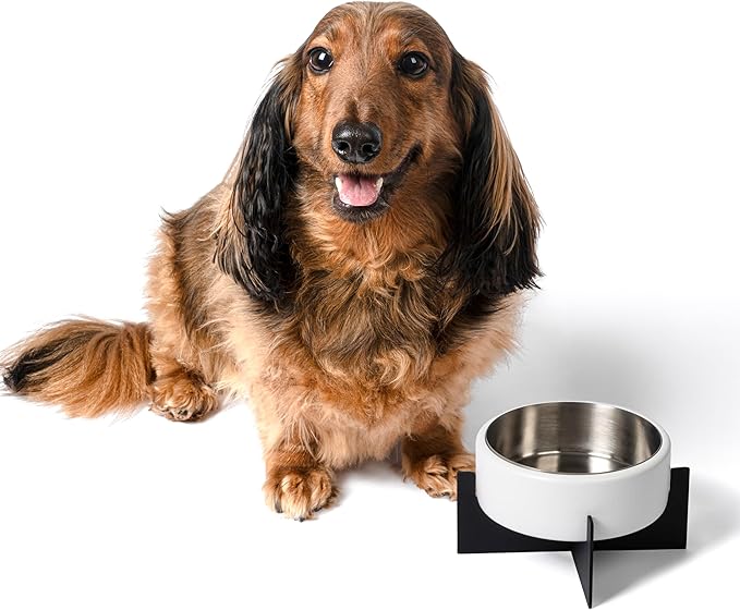 DBL3000E Intersecta Small/Medium Concrete and Stainless Steel Bowl 16oz (2 Cups) with Metal Stand Pet Feeder, White/Black