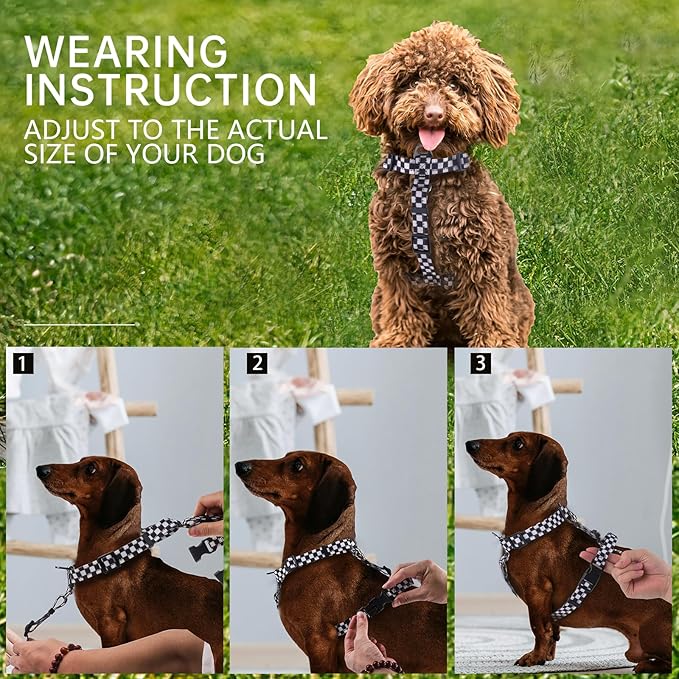 Roses&Poetry Dog Harness Small Sized Dog, 6 Point Adjustable Fit No Pull Harness with Handle for Control and Easy Walking, Reflective Pet Halter Harnesses（Blackwhite-S）