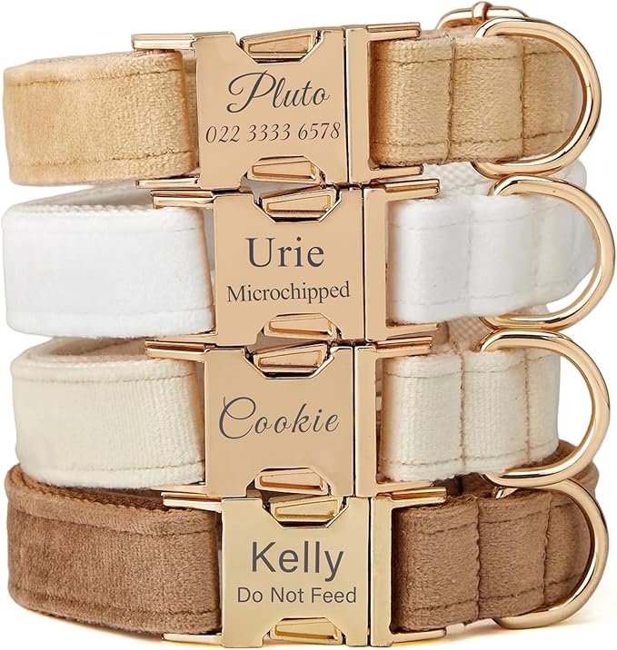 Personalized Velvet Dog Collar with Name & Phone Custom Dog Collar Personalized Name and Phone Number, Custom Collar Leash for Dogs, Engraved Metal Buckle Collar (Style- D)