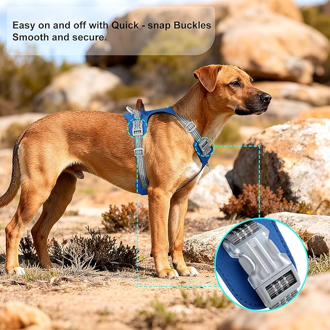 No Pull Dog Harness – Adjustable Reflective Nylon Vest for Small Medium Large Dogs, Escape Proof Training Harness with Leather Control Handle, Lightweight Aluminum Hardware (Royal Blue, XL)