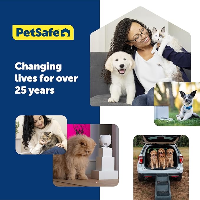 PetSafe KeepSafe Collar for Dogs - Protects Against Collar Accidents - Long Lasting - Durable - Adjustable - Breakaway - Outdoor-Safe - Small - 3/4 in. Wide - Red