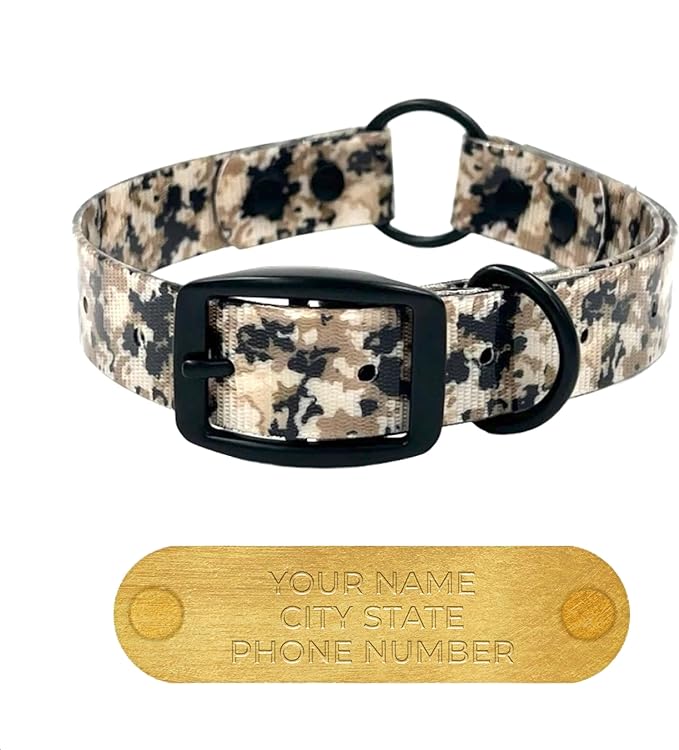 Regal Dog Products Small Camo Hunting Dog Collar with Custom Engraved Name Plate and Heavy Duty Black Hardware Center Ring| Waterproof Personalized Puppy Collars | Other Sizes for Medium & Large Dogs