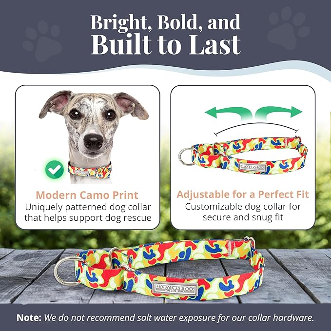 Lucky Love Dog Martingale Dog Collar - Adjustable, No-Slip, Durable, & Soft Webbing Collar for Male and Female Dogs Ideal for Training & Walking - Oscar, Medium