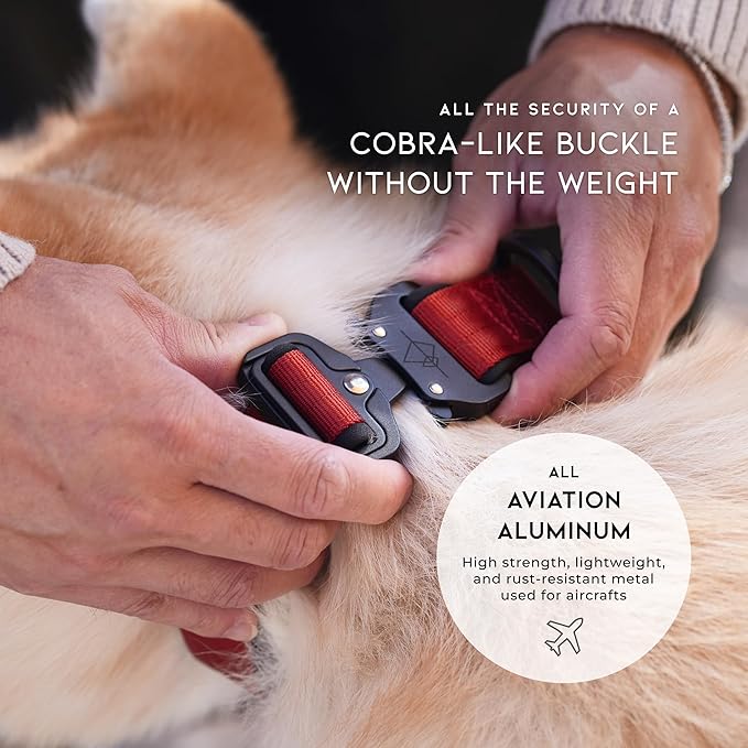 MADE TO ROAM Comfort Collar - Adjustable Nylon Dog Collar with Soft Comfortable Padding, Light Aviation Aluminum Metal Buckle for Small, Medium and Large Dogs (Florida Seaside, Size 4)