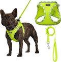 AMTOR Small Dog Harness with Leash Set, No Escape Easy Walk Puppy Harnesses for Training Walking, Step-in Reflective Soft Dogs Vest for XS S Medium Extra-Small Large Sized Dog(XXS Size,Green/White)