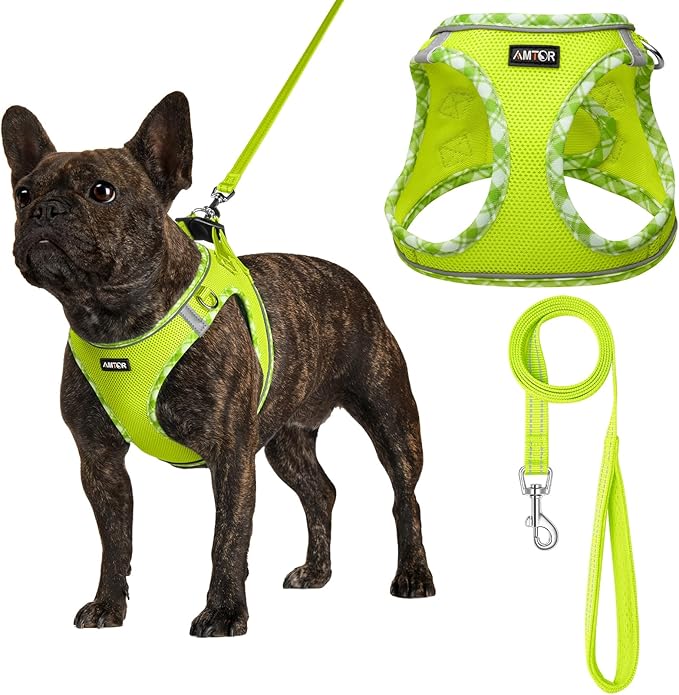 AMTOR Small Dog Harness with Leash Set, No Escape Easy Walk Puppy Harnesses for Training Walking, Step-in Reflective Soft Dogs Vest for XS S Medium Extra-Small Large Sized Dog(M Size,Green/White)