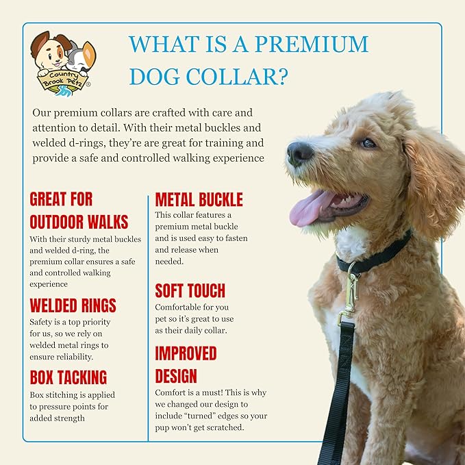 Country Brook Petz - Premium Nylon Dog Collar with Metal Buckle for Small Medium Large Breeds - 10+ Cool Colors (Extra Large, 1 Inch, Black)