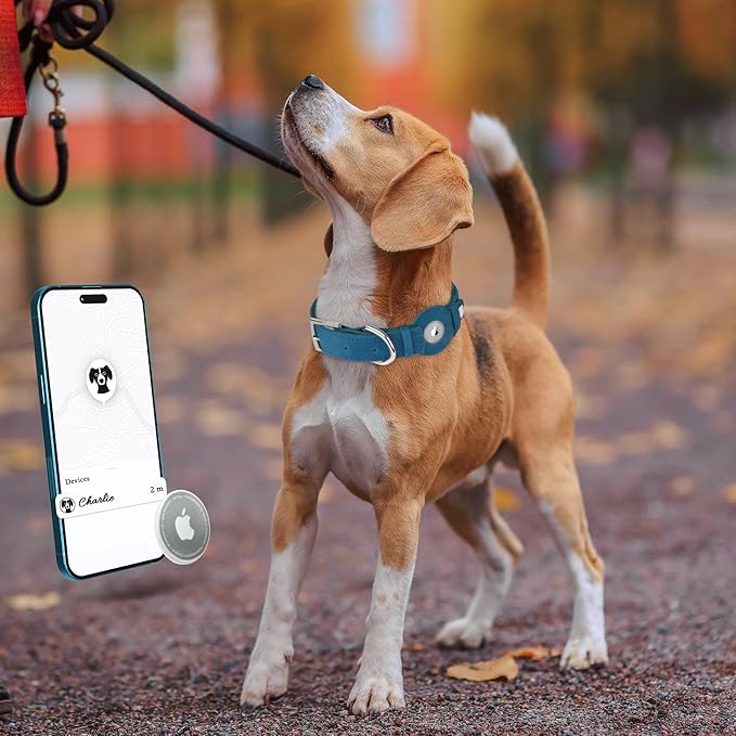 Leather Dog Collar with Airtag Holder - Apple Air Tag Dog Collars - Soft Tracking GPS Pet Collar for Small Medium Large Dogs Breed Puppy (Smoky Blue, XL, 19"-24" Neck Fit)