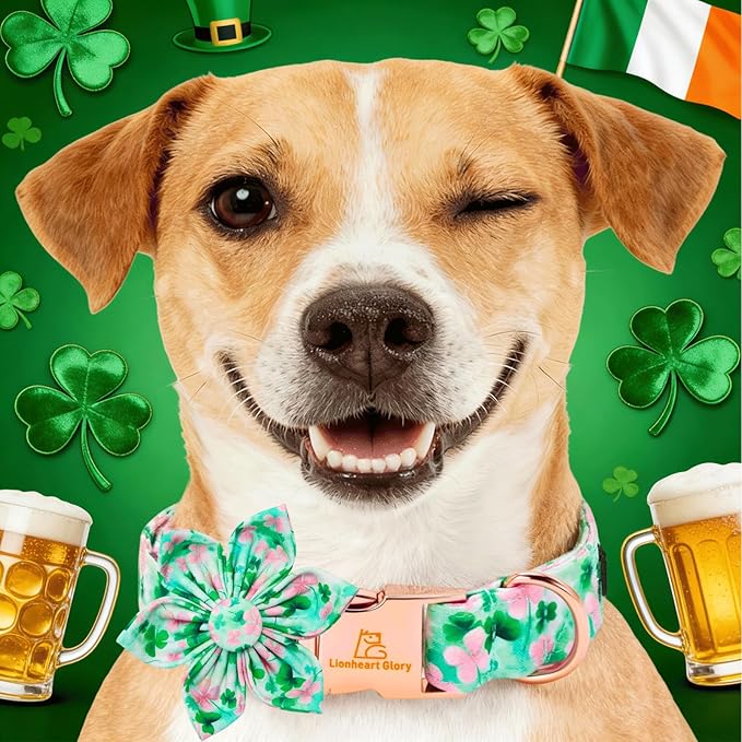 Lionheart glory St. Patrick's Day Dog Collar with Flower - Lucky Clover Shamrock Dog Collar for X-Small Dogs Puppy Green Pink Spring Trefoil Collars Soft Adjustable Collars