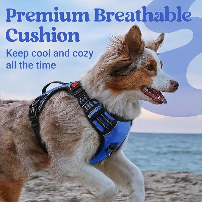 rabbitgoo Dog Harness Medium Sized, No Pull Pet Harness with Soft Padded Handle, Adjustable Reflective Vest with 3 Buckles, Easy Walking Harness with 2 Leash Clips, Blue, XL