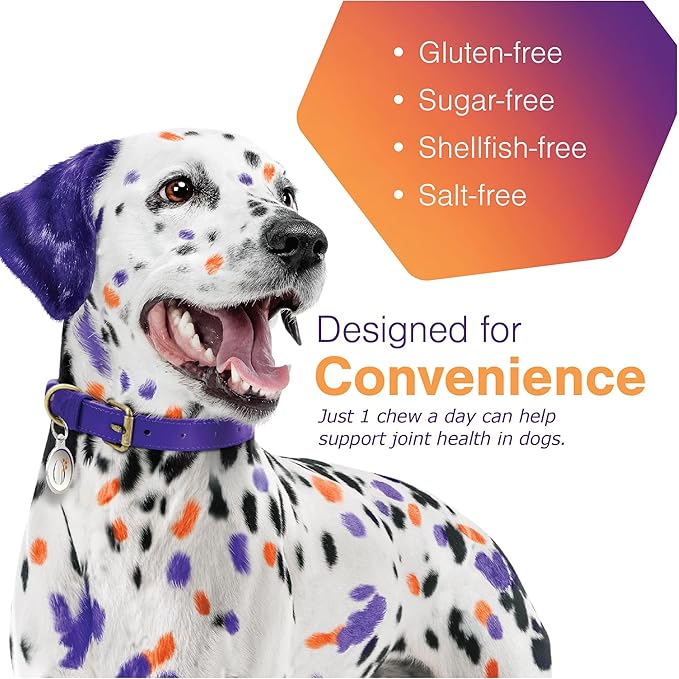 MoVoFlex Joint Support Soft Chews For Dogs Large 120Count, Brown