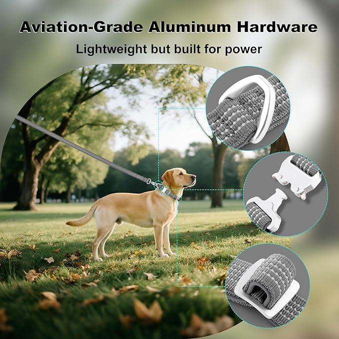 Plutus Pet Reflective Dog Collar with Aviation Aluminum Buckle, Neoprene Padded for Comfort, Lightweight, Heavy Duty Nylon Collar for Puppy Small Medium Large Dogs (Gray, S)