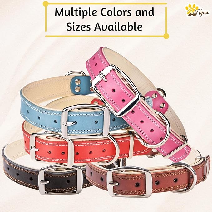 ADITYNA Heavy-Duty Leather Dog Collar for Large Dogs - Soft Padded for Comfort - Red Dog Collar for Walking, Training, and Hiking