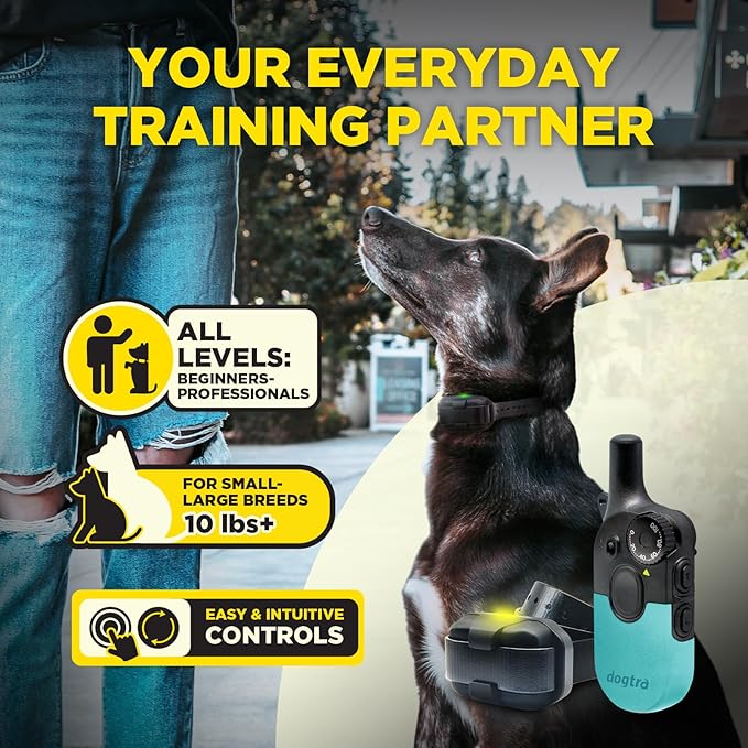 Dogtra 200iQ Remote Training E Collar – 100 Levels, Tone, Vibration, 1/2 Mile Range – Compact, Waterproof, One-Handed Control for Dogs 10 lbs+ – Lightweight Design for Daily Training – Teal