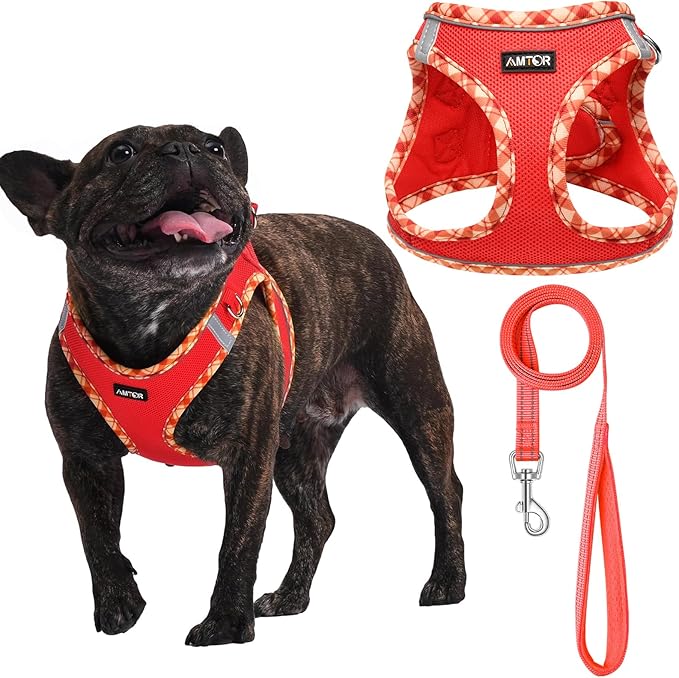 AMTOR Small Dog Harness with Leash Set, No Escape Easy Walk Puppy Harnesses for Training Walking, Step-in Reflective Soft Dogs Vest for XS S Medium Extra-Small Large Sized Dog(Red,XS)