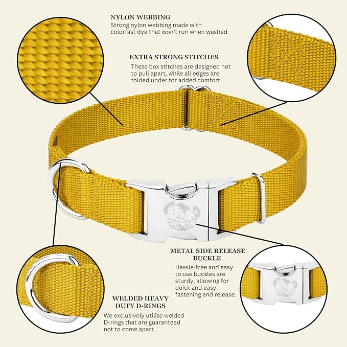 Country Brook Petz - Premium Nylon Dog Collar with Metal Buckle for Small Medium Large Breeds - 10+ Warm Colors (Extra Large, 1 Inch, Gold)